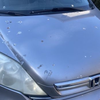 A & J Transmission - Bird droppings covered my car upon pickup. Certainly not present when I dropped my vehicle off. - Auto Repair Near Me - Lansing, Michigan A & J Transmission - Bird droppings covered my car upon pickup. Certainly not present when I dropped my vehicle off. - Auto Repair Near Me - Lansing, Michigan