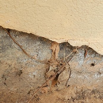 Pointsource Pest Control - Pest Control Near Me - Loganville, Georgia Pointsource Pest Control - Pest Control Near Me - Loganville, Georgia