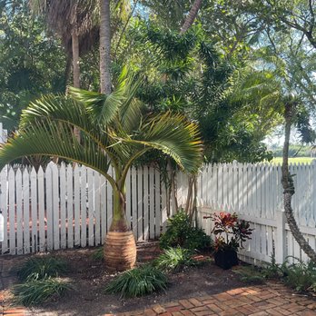 Dot Palm Landscaping - Landscaping Near Me - Marathon, Florida Dot Palm Landscaping - Landscaping Near Me - Marathon, Florida