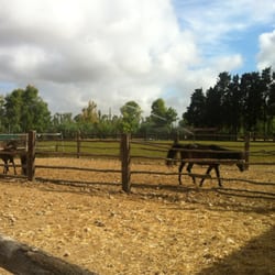 Agriturismo Archelao