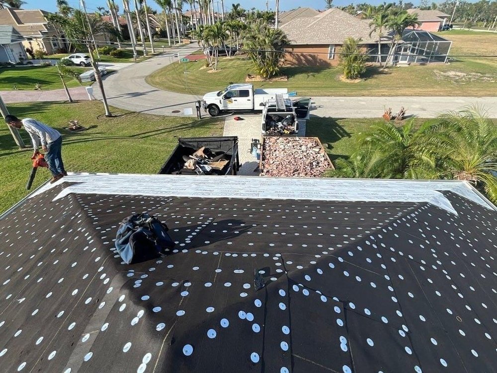 Slide of Tomas Roofer