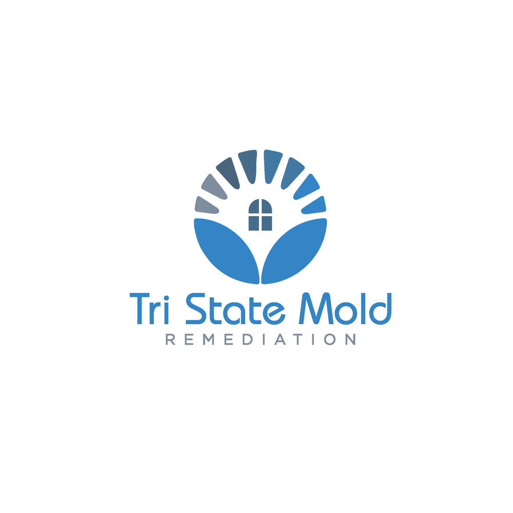TRI STATE MOLD REMEDIATION Updated May 2024 1311 Milstead Ave, Conyers, Damage