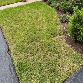Green Life - Before: Front walk right side - Pest Control Near Me Green Life - Before: Front walk right side - Pest Control Near Me