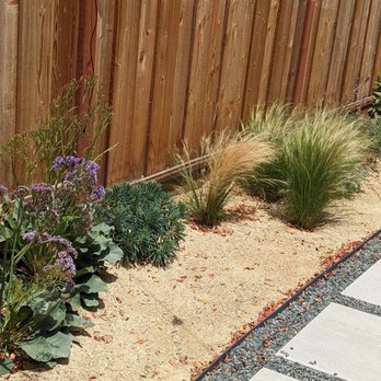 Xeric Oasis - After Pic 2: Three months after planting. - Landscape Architects or Designers Near Me