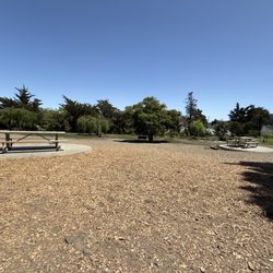Sausalito Dog Park - Tan bark area