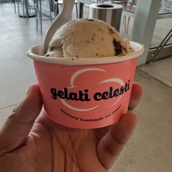 Gelati Celesti - Just Ask - Ice Cream & Frozen Yogurt Near Me - Virginia Beach, Virginia Gelati Celesti - Just Ask - Ice Cream & Frozen Yogurt Near Me - Virginia Beach, Virginia
