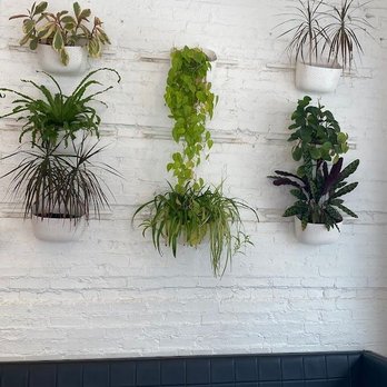 Madcap Coffee - Coffee Roasteries Near Me - Grand Rapids, Michigan