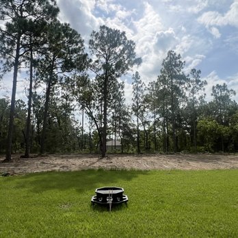 Power Logging and Land Clearing - Cleared back half of our lot - Tree Services Near Me Power Logging and Land Clearing - Cleared back half of our lot - Tree Services Near Me