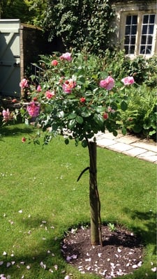 Kelmscott Manor by null