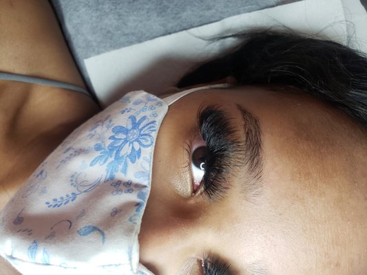 Virtue Lash by null