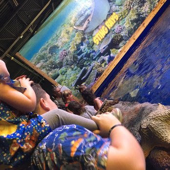 Branson Wild World - Aquariums Near Me - Branson, Missouri Branson Wild World - Aquariums Near Me - Branson, Missouri
