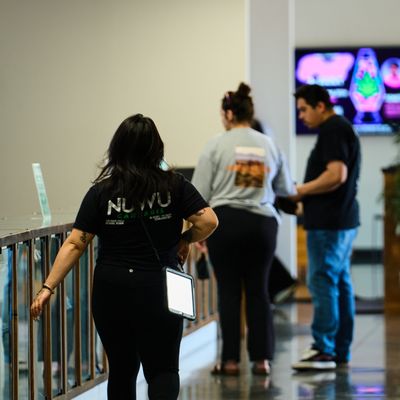 NuWu Cannabis LV by null