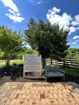 Warrior Retreat at Bull Run by null