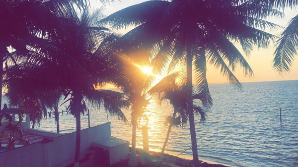 Playa del Niño by null