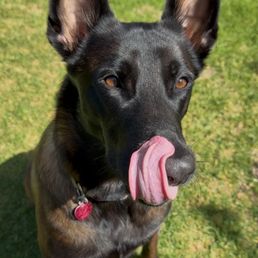 Just licking my chompers Just licking my chompers