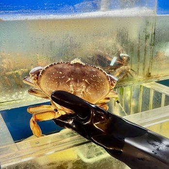 Chili Crab - Seafood Near Me - Boca Raton, Florida