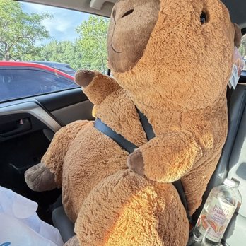 Costco - Safety 1st for Norbert's car ride home. - Wholesale Stores Near Me - Commack, New York