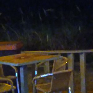 The Wreck - Tiki Bar and Lounge on Yelp