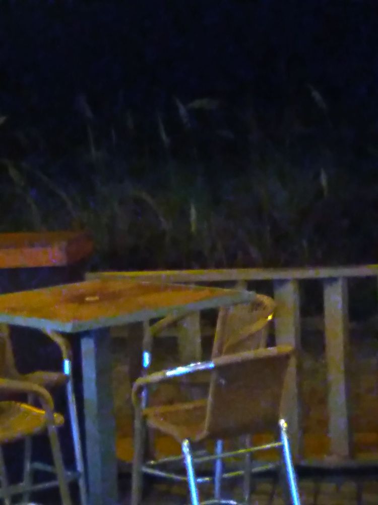 The Wreck - Tiki Bar and Lounge Image