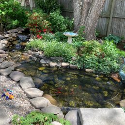 a small pond surrounded by rocks and plants
