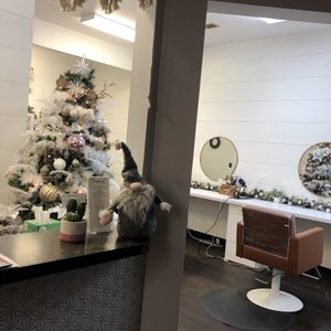 GENESIS HAIR SALON - 430 W Main St, Danville, KY - Services - Yelp