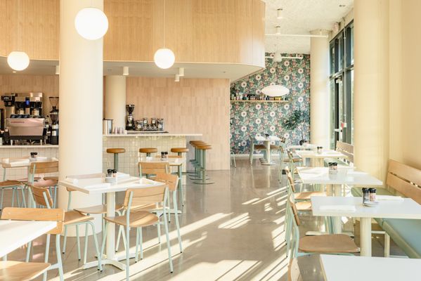 Biscuit Love Cincinnati by null