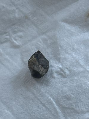 Bronzes Taqueria by null