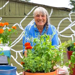 Galveston Gardens Nursery & Florists