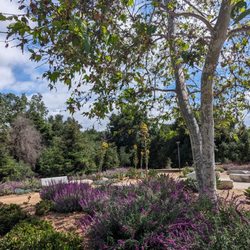 Conejo Creek North Park