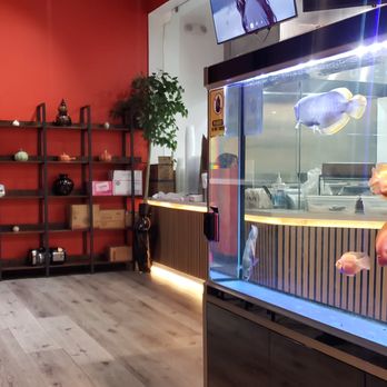 Dumpling Artisan - Noodles Near Me - Rancho Cucamonga, California