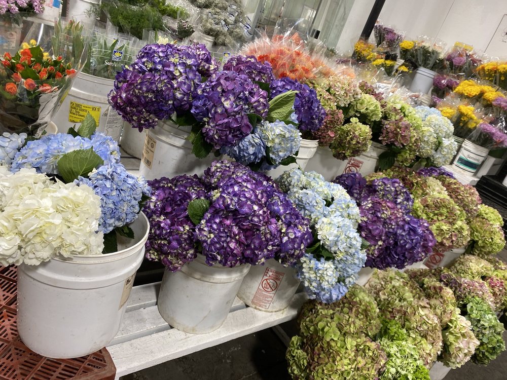 GREENFIELD & COMPANY Updated October 2024 25 Photos & 11 Reviews