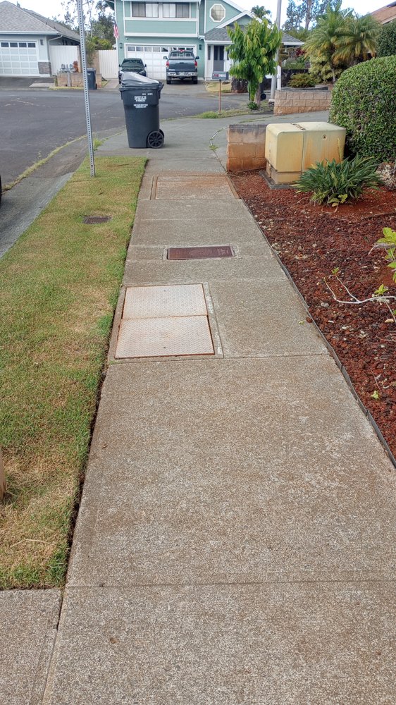 Slide of Papaya Powerwashing