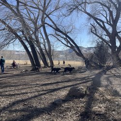 Tony Grampsas Dog Park