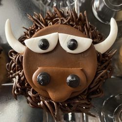 Theme Cakes by Joelene - Buffalo Face Cupcake
