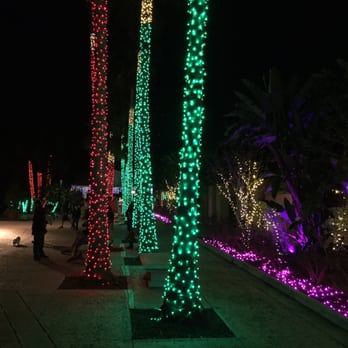 Florida Botanical Gardens - Busy light - Botanical Gardens Near Me - Largo, Florida
