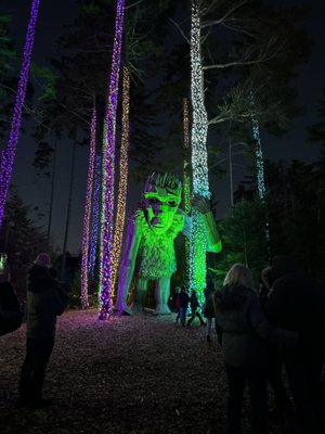 Coastal Maine Botanical Gardens by null