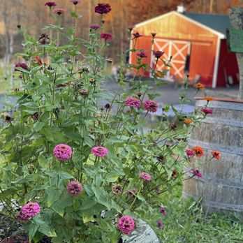 Bashakill Vineyards - Seating by the barn - Wineries Near Me - Wurtsboro, New York