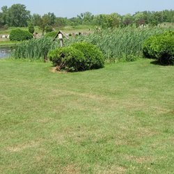 St Adalbert's Cemetery - Pond