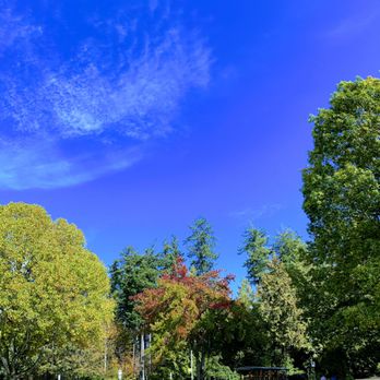 Stanley Park - Parks Near Me - Vancouver, British Columbia Stanley Park - Parks Near Me - Vancouver, British Columbia