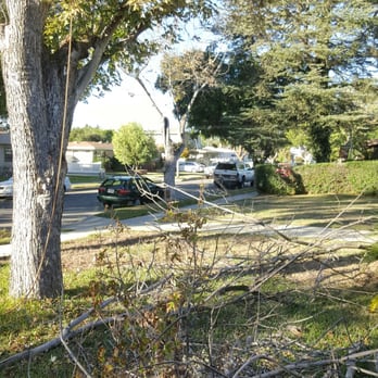 Octavio's Tree Service - Tree Services Near Me Octavio's Tree Service - Tree Services Near Me