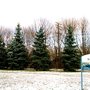 Photo of Bruce Mackey Park
