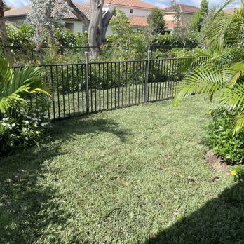 Works Sod - a garden with a fence and lush green grass - Landscaping Near Me - West Palm Beach, Florida Works Sod - a garden with a fence and lush green grass - Landscaping Near Me - West Palm Beach, Florida