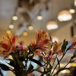 Café Carmel