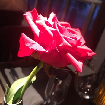 Vienna Wine Bar - Wine Bars Near Me - Davie, Florida Vienna Wine Bar - Wine Bars Near Me - Davie, Florida