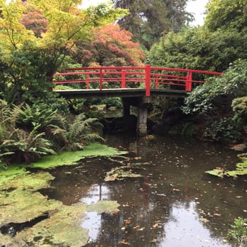 Kubota Garden - Botanical Gardens Near Me - Seattle, Washington