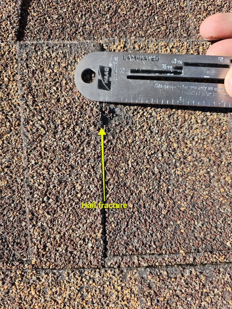 Slide of RDZ Roofing