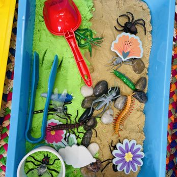 Pine Tree Preschool - Science Sensory Activity - Child Care & Day Care Near Me - Los Angeles, California Pine Tree Preschool - Science Sensory Activity - Child Care & Day Care Near Me - Los Angeles, California