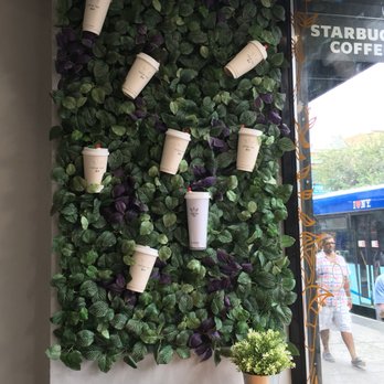 Möge Tee - Flushing - Bubble Tea Near Me - Flushing, New York Möge Tee - Flushing - Bubble Tea Near Me - Flushing, New York
