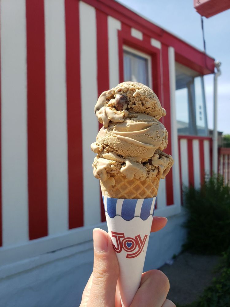 Ice Cream Junction Logo