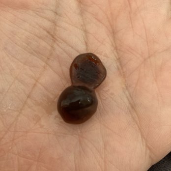 Brian Black Tea - Boba - one whole and one cut in half - Bubble Tea Near Me - Fremont, California Brian Black Tea - Boba - one whole and one cut in half - Bubble Tea Near Me - Fremont, California